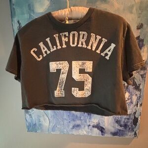 Altar’d State Women’s Small Grey Crop Top “California 75”